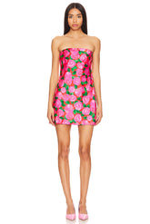 Taylor Tube Mini Dress