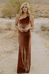 Tatiana Velvet One Shoulder Maxi Dress | Bronze