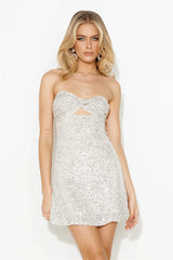 Sparkles Flying Sequins Mini Dress Silver