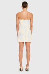 Fae Pink Mini Dress in Somerset