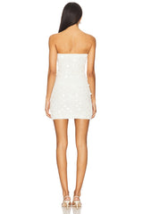 Aliso Mini Dress