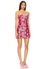Taylor Tube Mini Dress